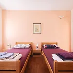 Two Bedroom In Center Igor Apartman